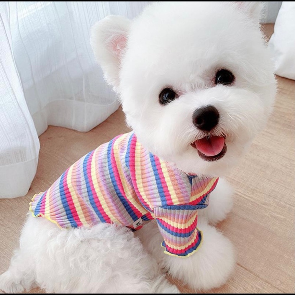 🐾 Stripped Tee For Dogs 🐾